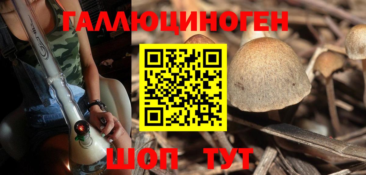 Вязьма  Псилоцибиновые грибы Cubensis  Вход с VPN  Галлюциногенные грибы GOLDEN TEACHER 