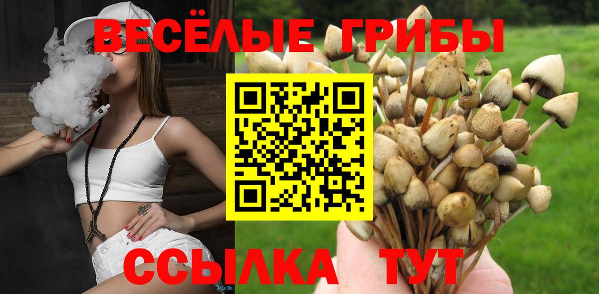 Галлюциногенные грибы Magic Shrooms Вязьма